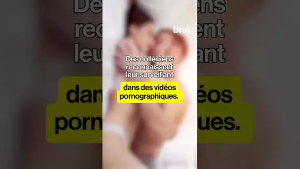 Ils reconnaissent leur surveillant dans des vidéos pornographiques