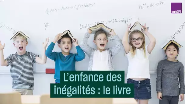 Inégalités dès l'enfance : la lecture, Claude Ponti et l'ironie, par Bernard Lahire - #CulturePrime