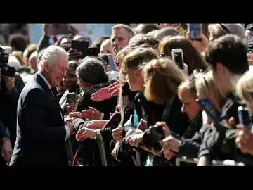 Hommage à Elizabeth II : Charles III et William à la rencontre du public dans la queue • FRANCE 24