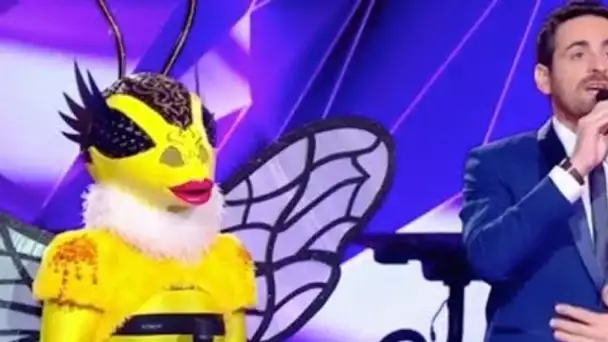 Mask Singer  découvrez la personnalité qui se cachait sous le costume d'abeille