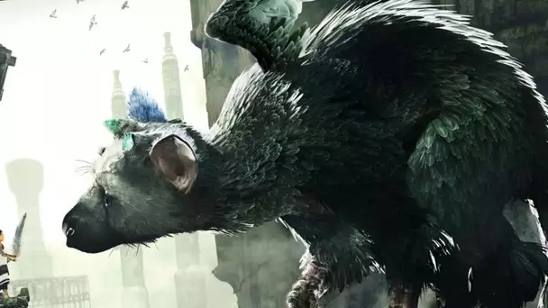 Après The Last Guardian et Shadow of the Colossus, genDESIGN propose un nouveau jeu pour 2022 ?