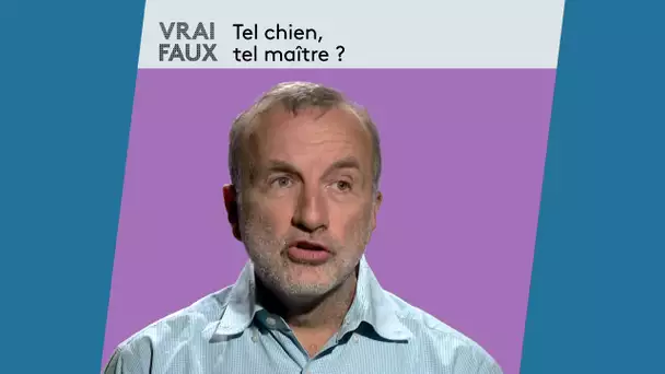 Tel chien, tel maître? La réponse d'un vétérinaire comportementaliste