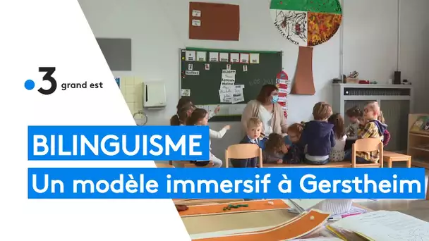Bilinguisme : un modèle immersif à Gerstheim