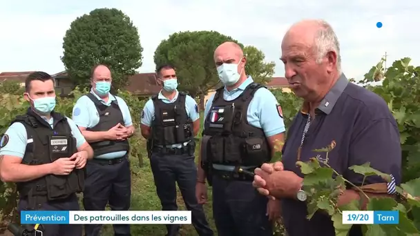 Tarn : gendarmes et agriculteurs face aux vols agricoles