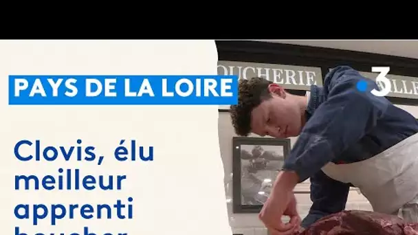Clovis, 17 ans, élu meilleur apprenti boucher des Pays de la Loire