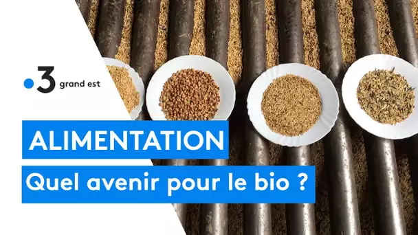 Quel avenir pour l'agriculture bio dans le Grand Est ?
