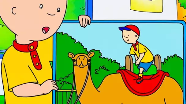 Caillou et la Balade à Dos de Dromadaire | Caillou en Français