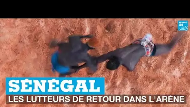 Sénégal : les lutteurs de retour dans l'arène