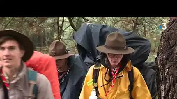 Sainte-Anne-d'Auray accueille les Scouts Unitaires de France