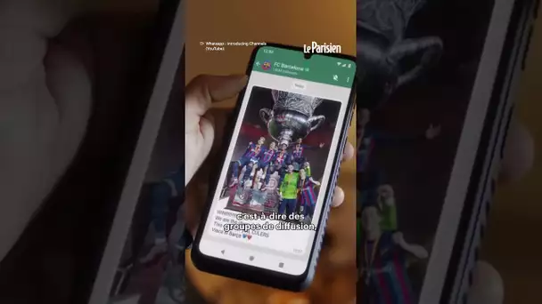 Whatsapp va bientôt intégrer de la publicité à son application