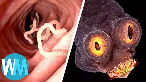 TOP 10 des PARASITES les plus DÉGOÛTANTS (et ce qu'ils font à votre corps) !