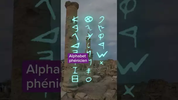 À l'origine de l'alphabet, une histoire de taureau et de chameau... 😲