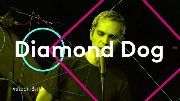 #studio3 : DIAMOND DOG, le punk mélancolique et amoureux de quatre Dijonnais