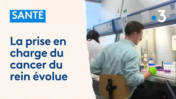 Santé : les recherches sur le cancer du rein avancent