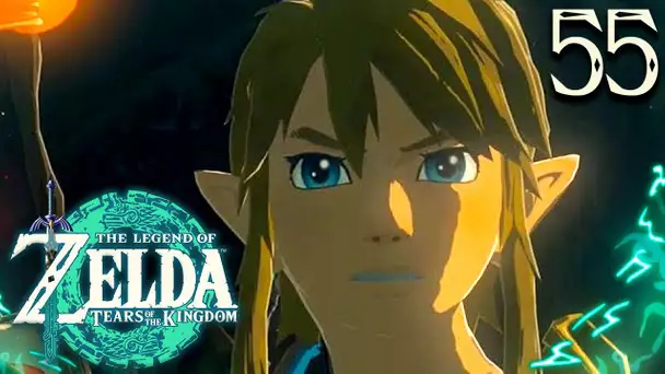 Zelda Tears of the Kingdom #55 : SOUS LE CHATEAU !
