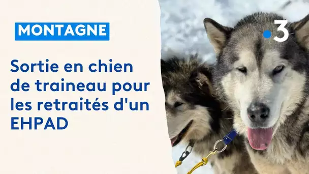 "on peut continuer de rêver à 95 ans" sortie en chien de traineau pour les retraités d'un EHPAD