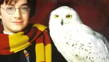 Harry Potter : pourquoi Hedwig a-t-elle été tuée dans les Reliques de la Mort ?