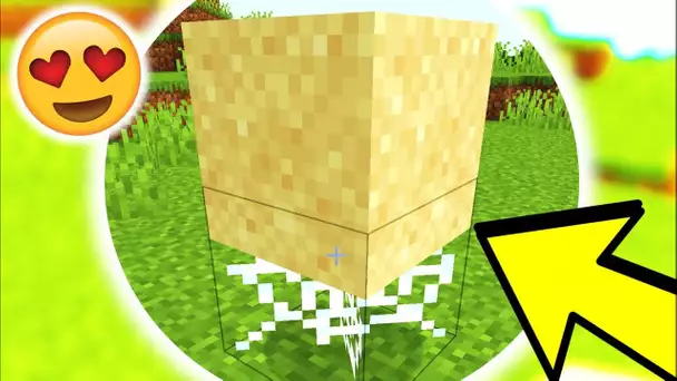 Le SECRET le PLUS SATISFAISANT de MINECRAFT - Agentgb #shorts