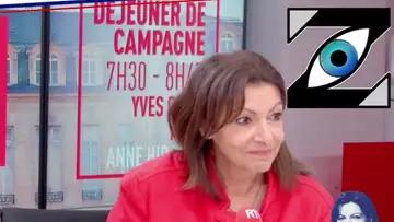 [Zap Actu] Des cheveux contre une marée noire, François Hollande candidat ? (25/01/22)