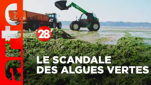 En Bretagne, omerta sur les algues vertes | Pierre Jolivet - 28 minutes - ARTE