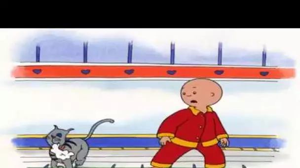 Caillou FRANÇAIS - Caillou Pour 4.5 Heures! | conte pour enfant | dessin animé | Caillou en Français