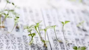 Incroyable ! Ce journal écologique va vous surprendre !