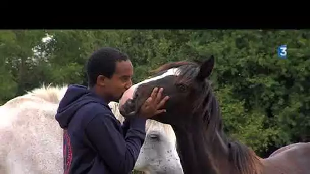 Polo: le joueur pro normand Pierre-Henri Ngoumou élève lui-même ses 'champions'