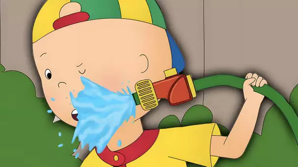 L'Eau Drôle Échoue | Caillou en Français