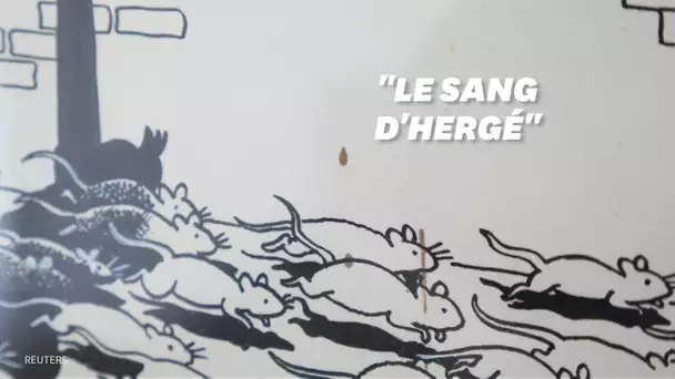 Une planche de Tintin estimée à près de 400.000 va être vendue aux enchères