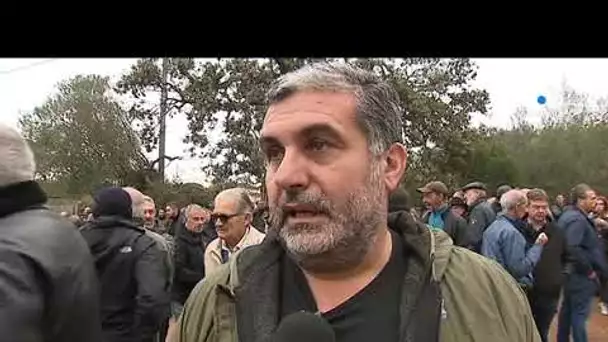Palombaggia : plus de 200 personnes réunies en soutien à François-Pierre Giraschi