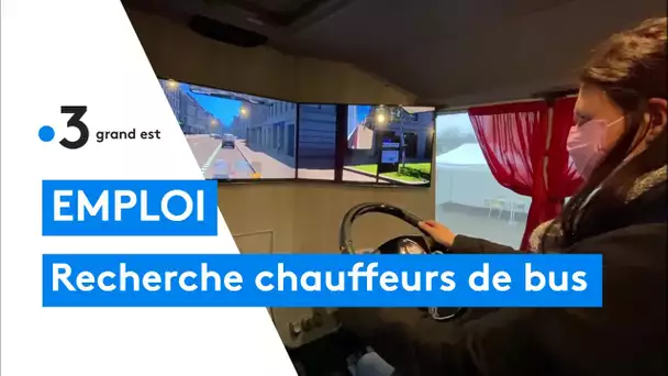 Emploi : on recherche des chauffeurs de bus