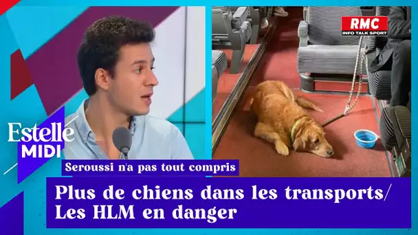 Vincent Seroussi: Plus de chien dans les transports ! / Les HLM en danger !