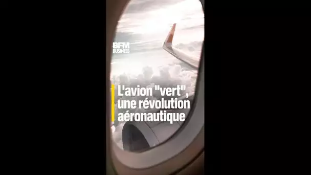 L'avion "vert", plus grosse révolution depuis les débuts de l'aviation