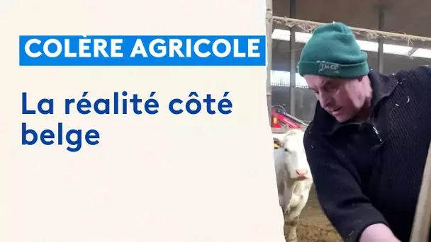 En Belgique, les agriculteurs sont aussi mobilisés