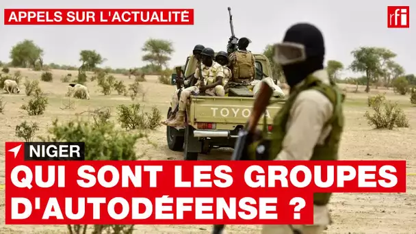 Niger : qui sont les groupes d'autodéfense ? • RFI