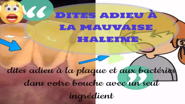 Dites adieu à la mauvaise haleine, à la plaque et aux bactéries dans votre bouche avec un seul ingré