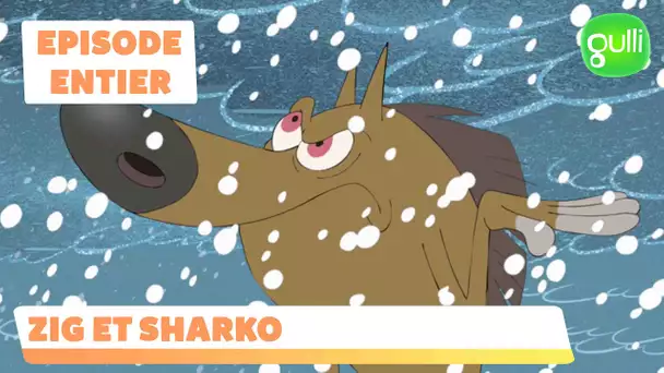 Zig et Sharko I Coup de froid 🥶 - Episode en entier (Saison 1 épisode 6)