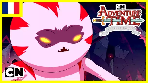 Adventure Time 🇫🇷 | Wizard City [Extrait 2/2]