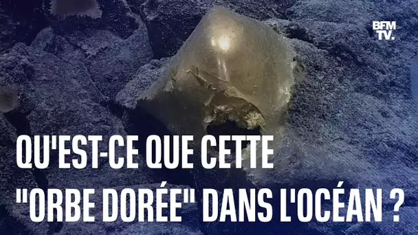 Des scientifiques ont découvert une "orbe dorée" au fond de l'océan et personne ne sait ce que c'est