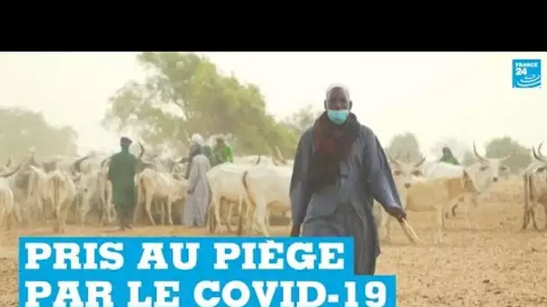 Covid-19 : au Sénégal, les éleveurs peuls pris au piège par les restrictions
