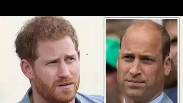 Le prince Harry "en a marre d'être le remplaçant" en tant que duc pour reprendre le "pouvoir" sur Wi