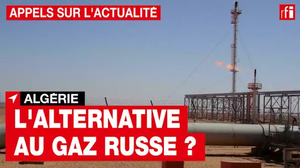 Guerre en Ukraine : l'Algérie prête à fournir plus de gaz à l'Europe si nécessaire • RFI