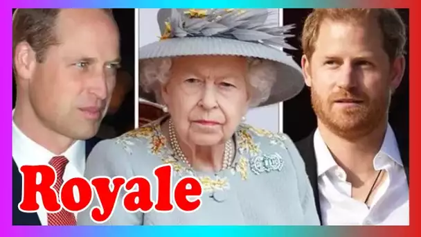 Avertissement de divorce brutal de la reine à William et Harry: ''Assez, c'est assez!''