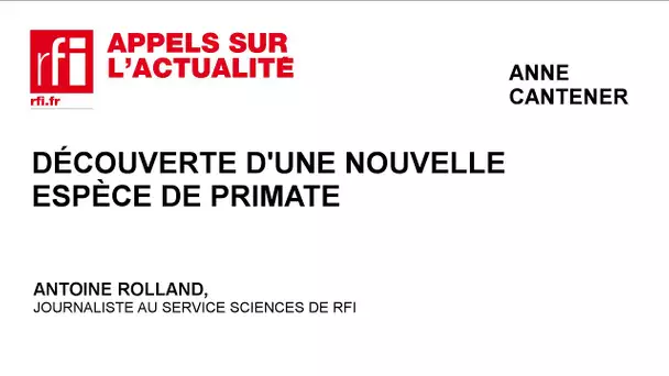 Découverte d’une nouvelle espèce de primate