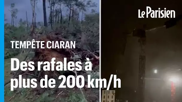 Grue pliée, arbres arrachés, vents à 200 km/h... la tempête Ciaran frappe le nord-ouest de la France