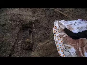 Ukraine : plus de 200 fosses communes découvertes près de Marioupol