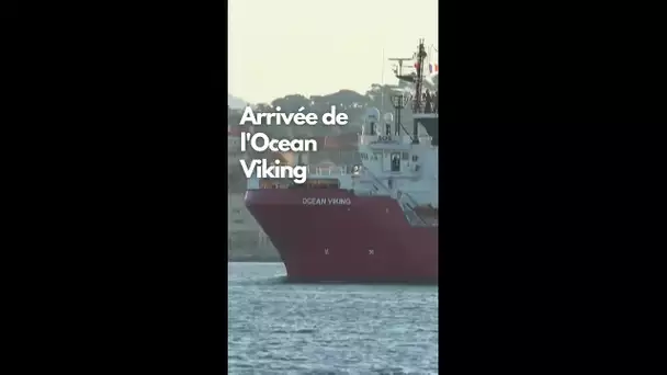 Toulon : arrivée du navire Ocean Viking de l'ONG Sos Méditerranée