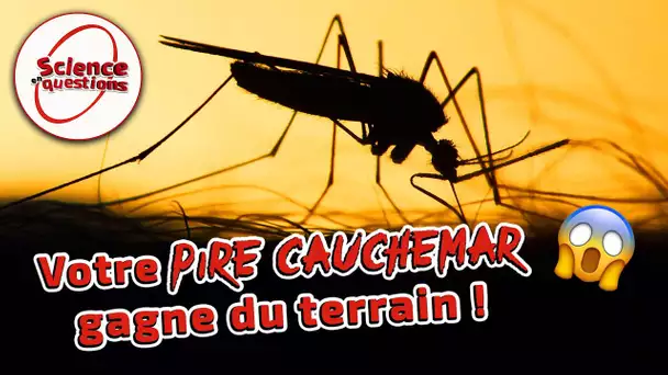 Comment se transmettent les maladies vectorielles ? - Science En Questions