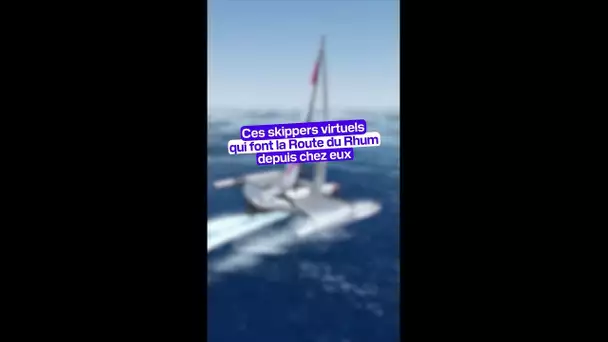 "Comme si on était à bord d'un vrai bateau" : les skippeurs virtuels de Virtual Regatta