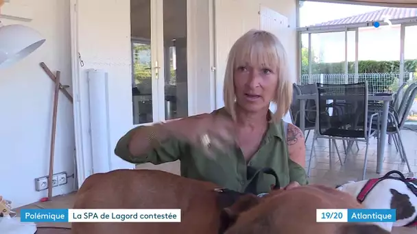 Lagord (17) : une pétition contre la maltraitance animale à la SPA